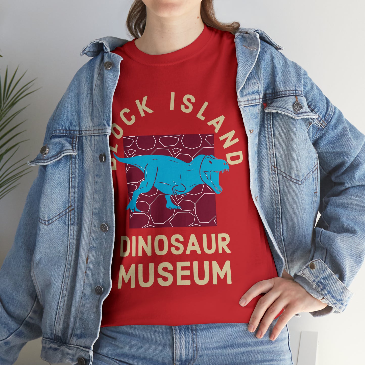 Block Island Dinosaur Museum Tee