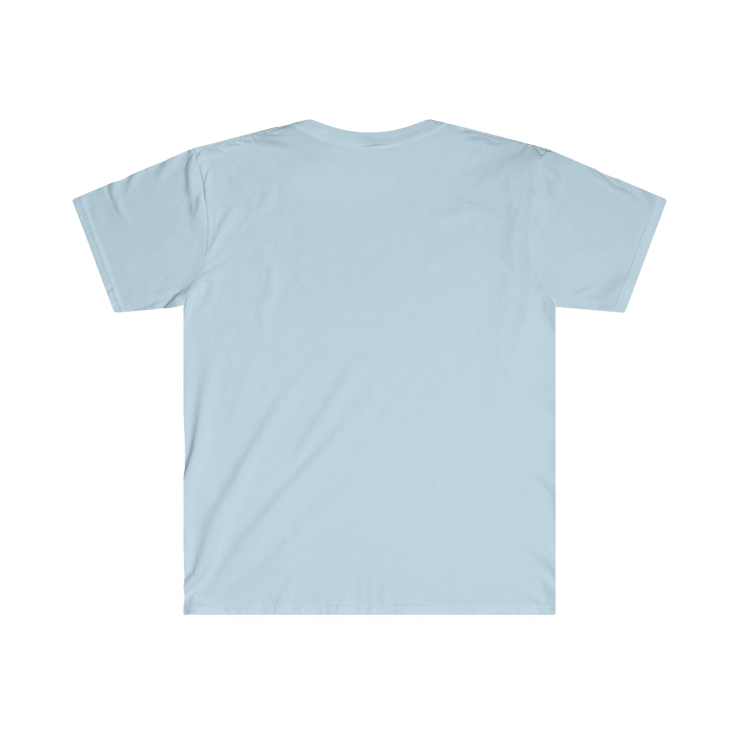 Block Island Seagull Rental Tee