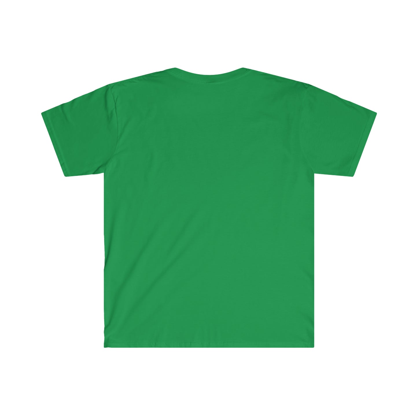 Block Island Seagull Rental Tee