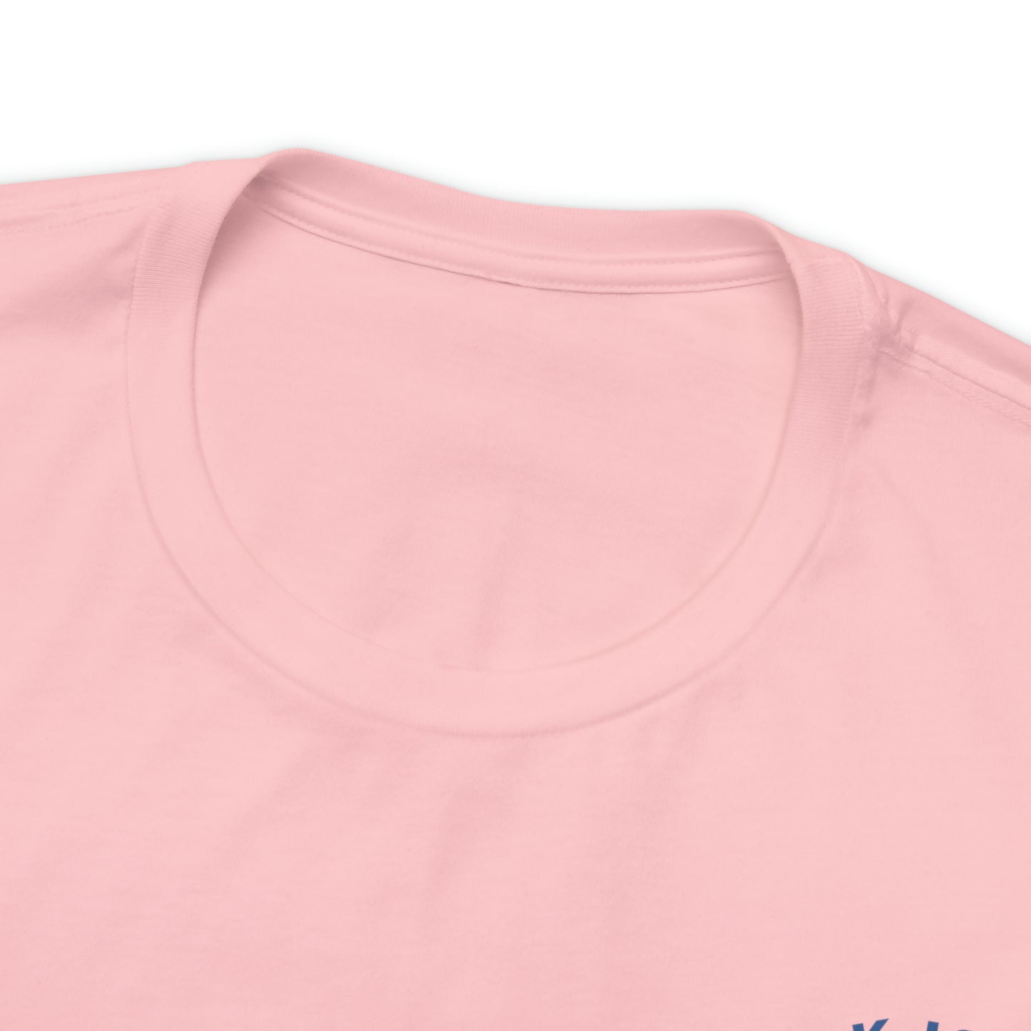 Block Island Dolphin Rides Tee