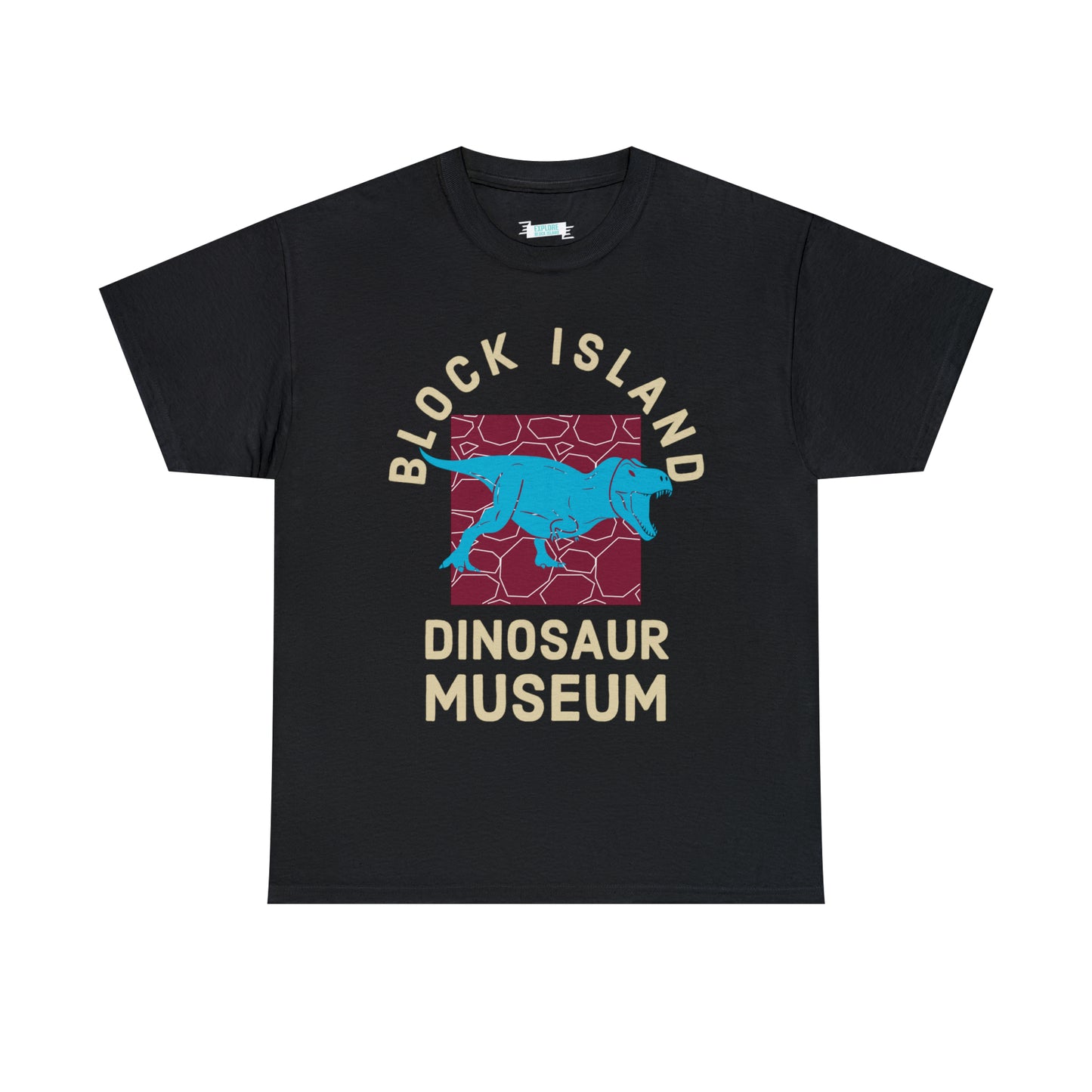 Block Island Dinosaur Museum Tee