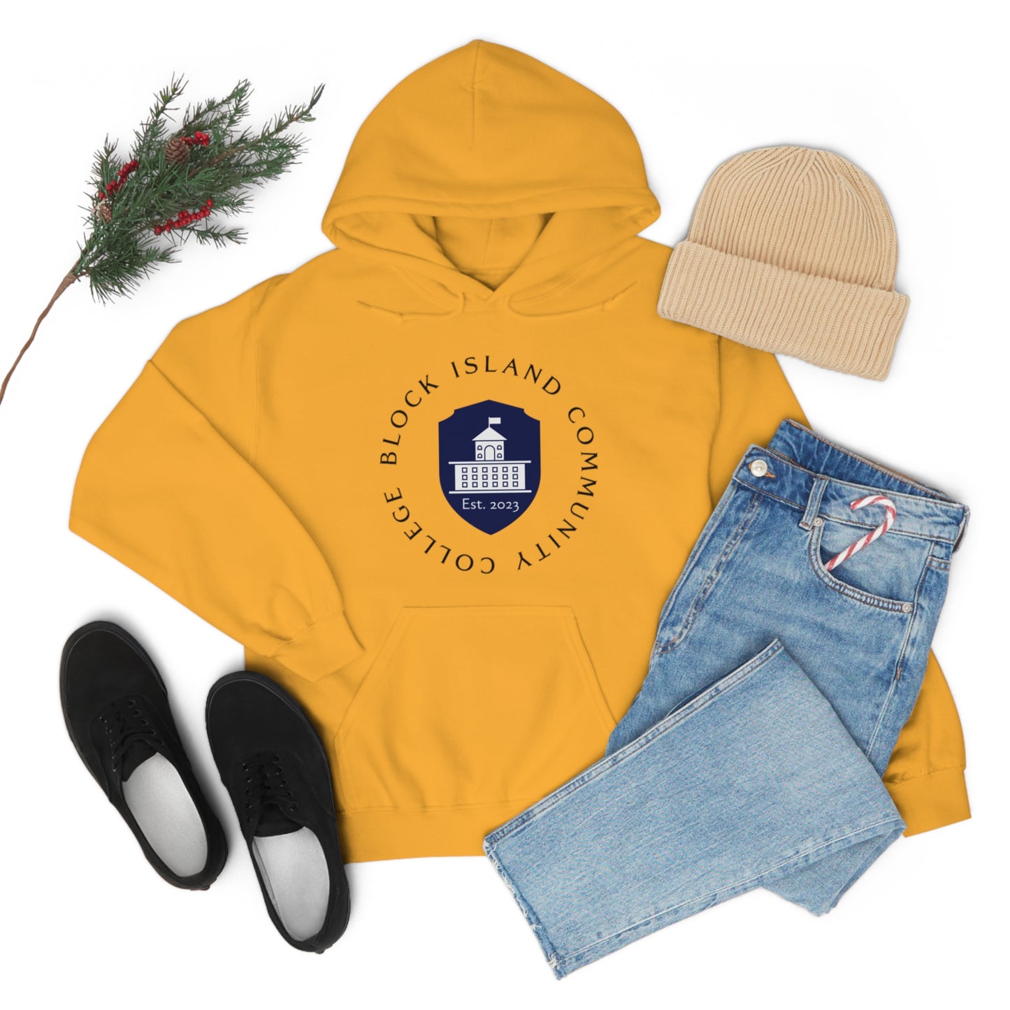 Block Island Community College Hoodie