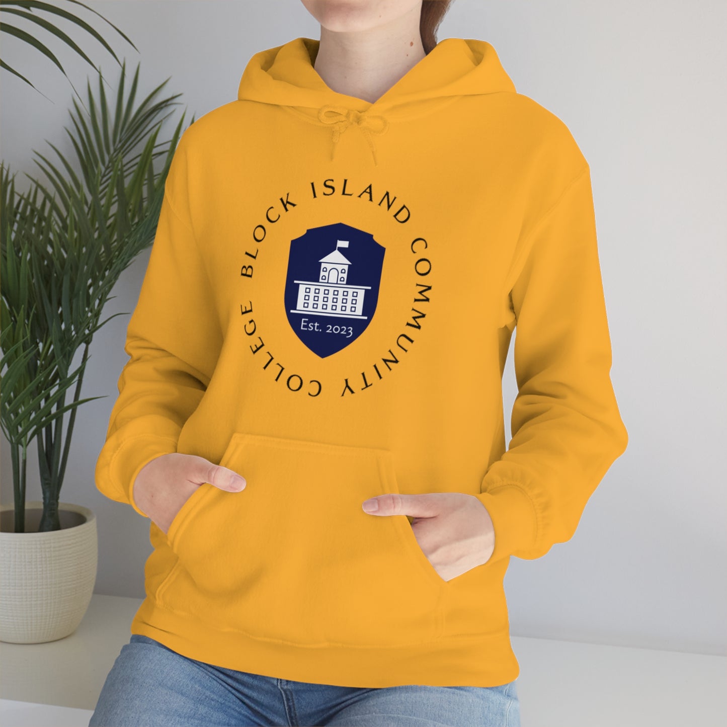 Block Island Community College Hoodie