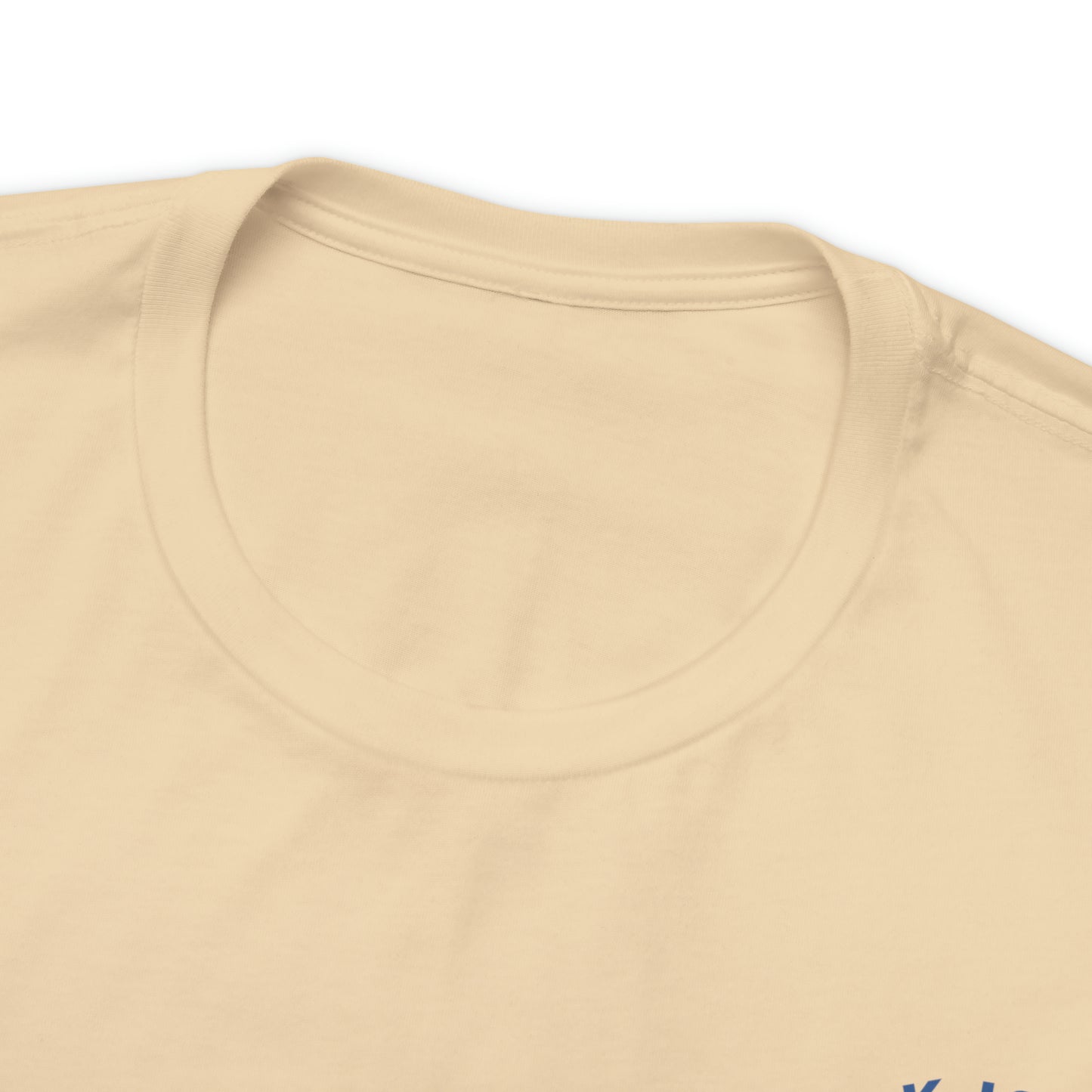 Block Island Dolphin Rides Tee