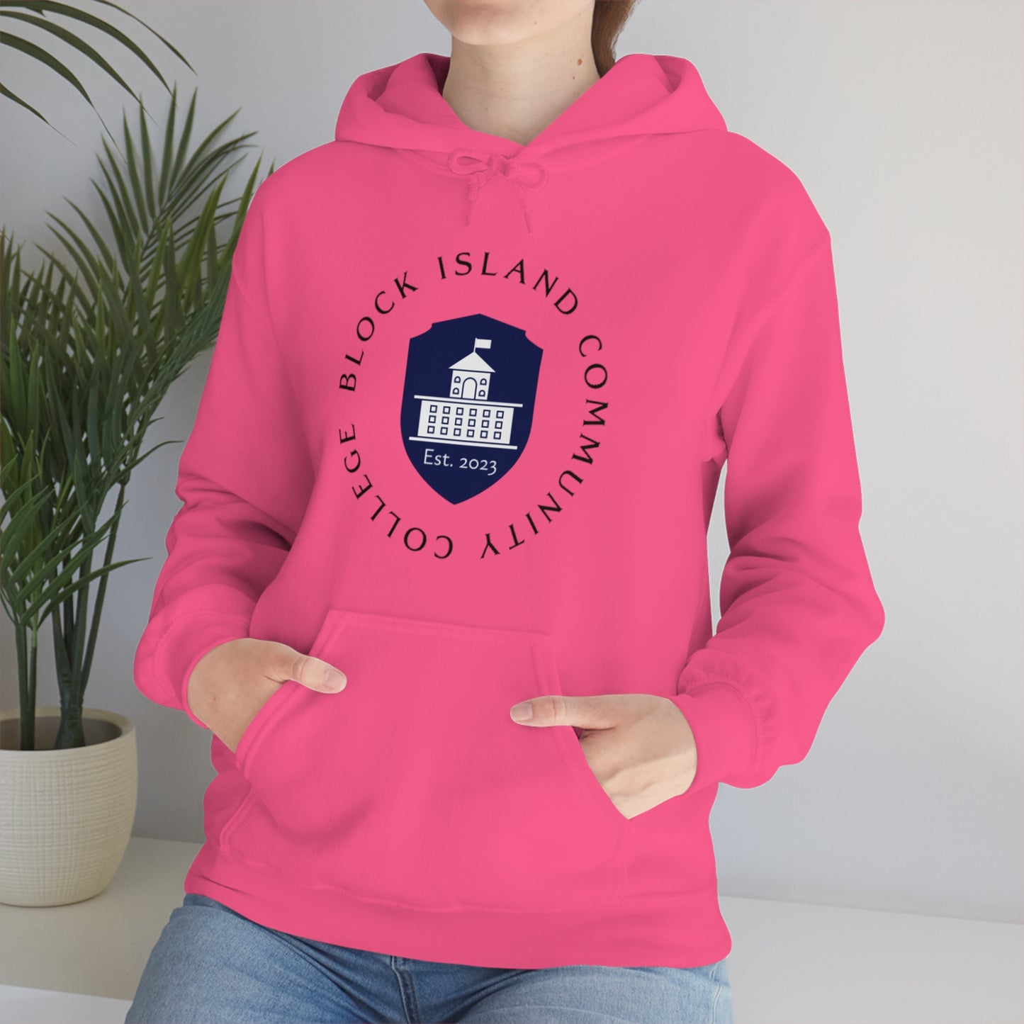 Block Island Community College Hoodie