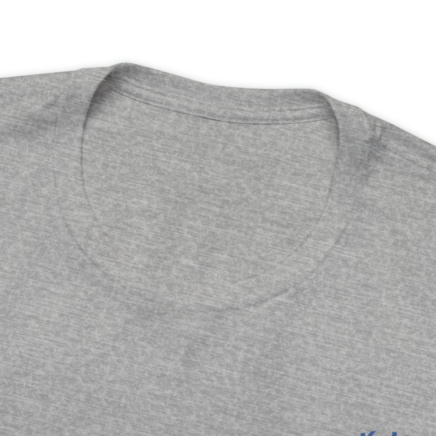 Block Island Dolphin Rides Tee