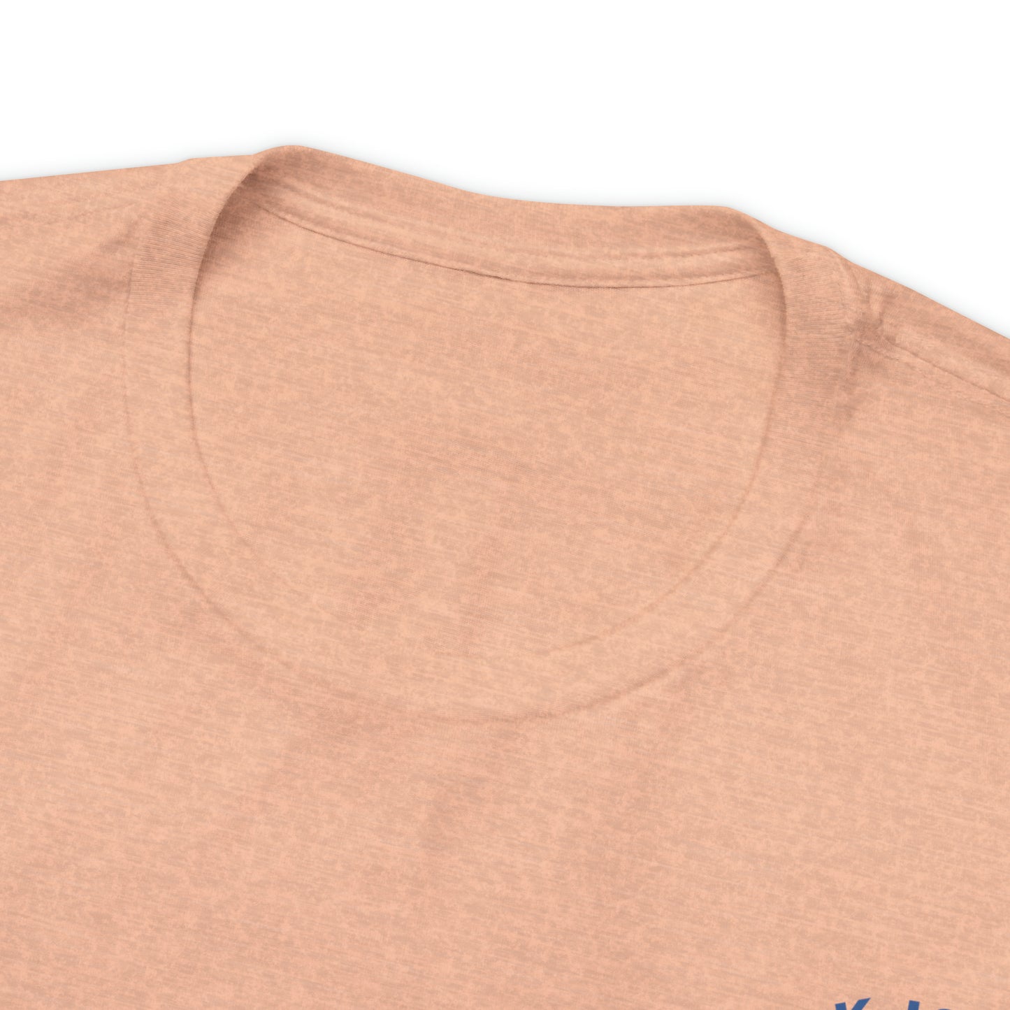 Block Island Dolphin Rides Tee